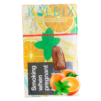 ТЮТЮН REVOSHI ESKIMO CITRUS MINT