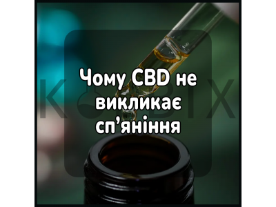 Чому CBD не викликає сп’яніння