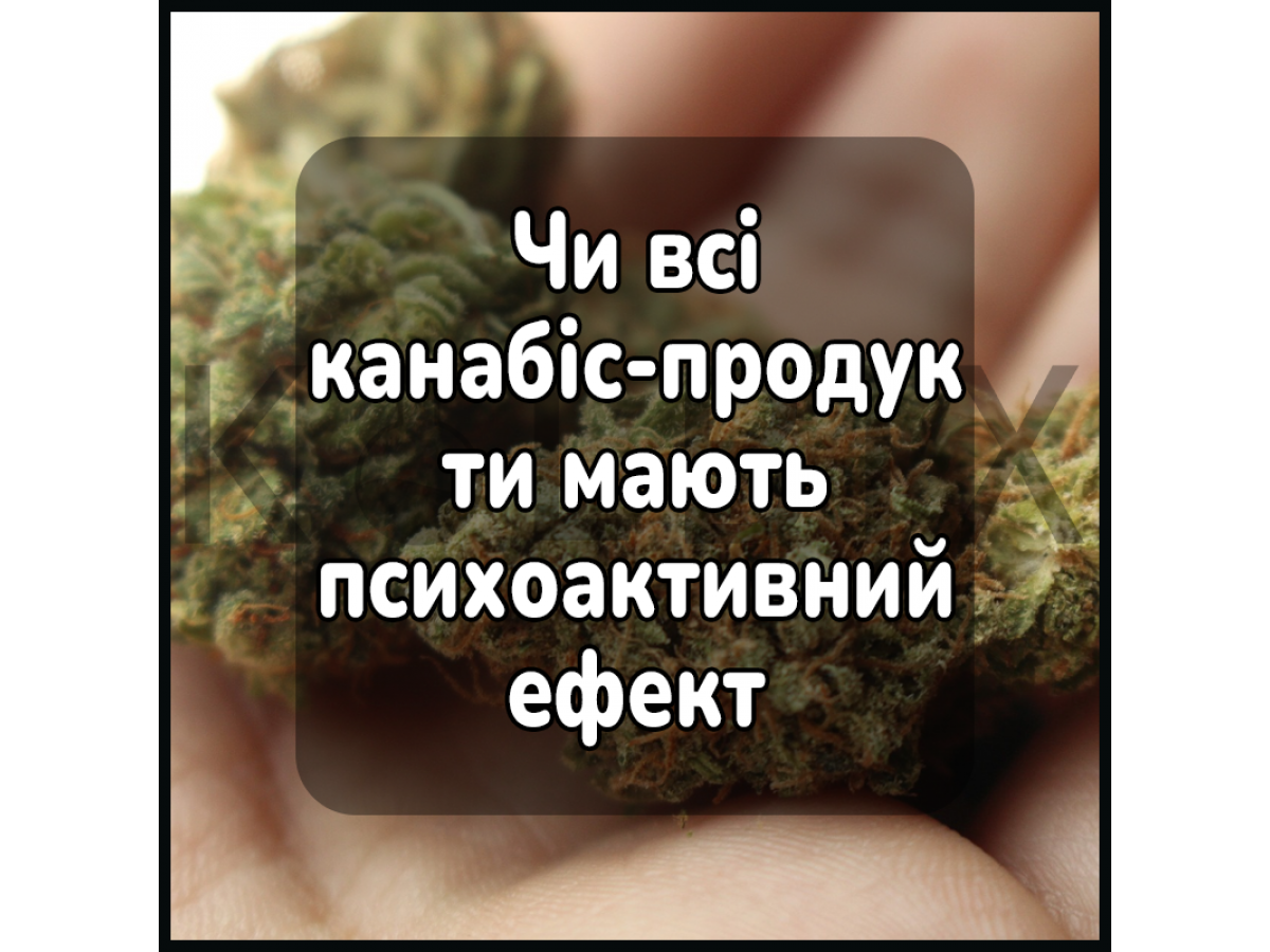 Все ли каннабис-продукты обладают психоактивным эффектом