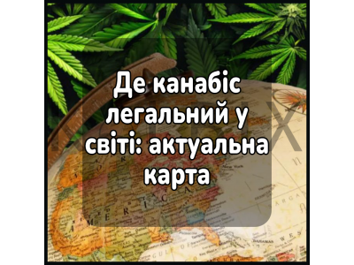 Де канабіс легальний у світі: актуальна карта