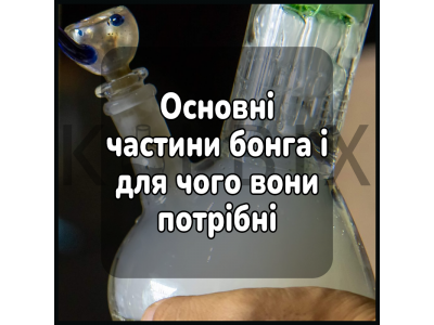 Основные части бонга и для чего они нужны