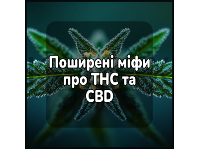 Поширені міфи про THC та CBD