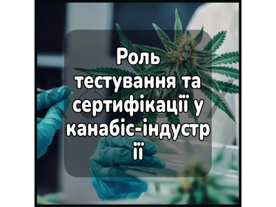 Роль тестування та сертифікації у канабіс-індустрії