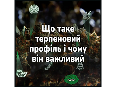 Що таке терпеновий профіль і чому він важливий