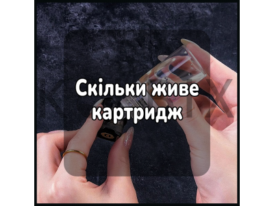 Скільки живе картридж